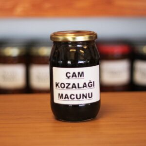 Kavanozda Çam Kozalağı Macunu
